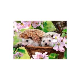 Castorland Kirpiler 120 Parça Çocuk Puzzle