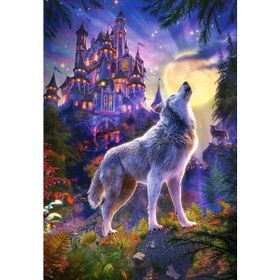 Castorland Kurt Kalesi 1000 Parça Puzzle