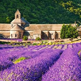 Castorland Notre Dame de Senanque France 600 Parça Puzzle