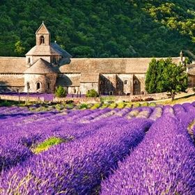 Castorland Notre Dame de Senanque France 600 Parça Puzzle