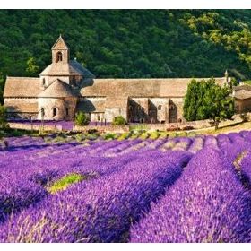 Castorland Notre Dame de Senanque France 600 Parça Puzzle