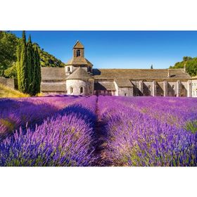 Castorland Provencede Lavanta Tarlası 1000 Parça Puzzle