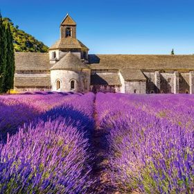 Castorland Provencede Lavanta Tarlası 1000 Parça Puzzle