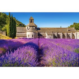 Castorland Provencede Lavanta Tarlası 1000 Parça Puzzle