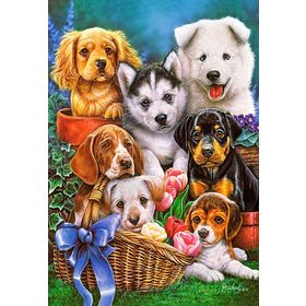 Castorland Puppies 1000 Parça Puzzle