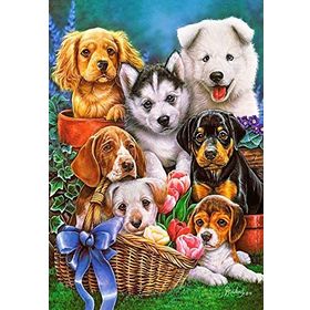 Castorland Puppies 1000 Parça Puzzle