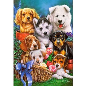 Castorland Puppies 1000 Parça Puzzle