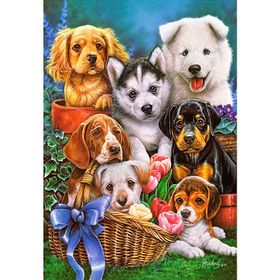 Castorland Puppies 1000 Parça Puzzle