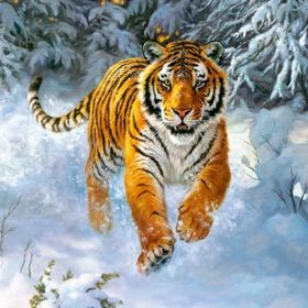 Castorland Sibirya İmparatoru 500 Parça Puzzle