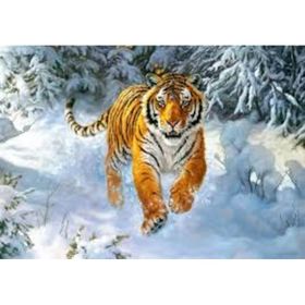 Castorland Sibirya İmparatoru 500 Parça Puzzle