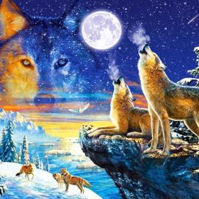 Castorland Uluyan Kurtlar 1000 Parça Puzzle