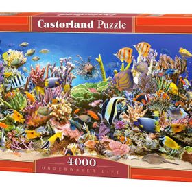 Castorland Underwater Life Balıklar 4000 Parça Puzzle