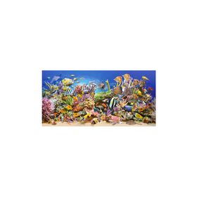 Castorland Underwater Life Balıklar 4000 Parça Puzzle