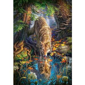 Castorland Wolf in the Wild 1500 Parça Puzzle