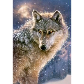 Castorland Yalnız Kurt 500 Parça Puzzle
