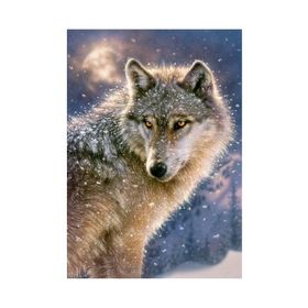 Castorland Yalnız Kurt 500 Parça Puzzle