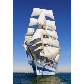 Castorland Yelkenli Gemi 1000 Parçalık Puzzle