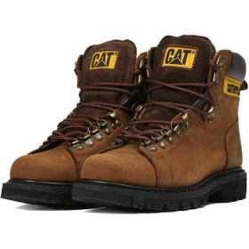 Cat Alaska Copper Erkek Botu