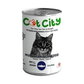 Cat City Az Tahıllı Somon Balıklı 400 gr Yetişkin Kedi Konserve Mama