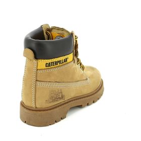 Cat Colorado Honey Erkek Botu