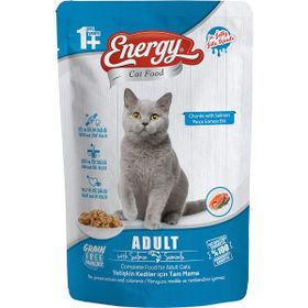 Cat Food Energy Somonlu Yetişkin Islak Kedi Maması 85 gr Özel Koli 12 Adet