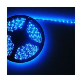 Cata 07.03037 Cata CT-4491 3 Çip Dış Mekan Şerit Led Mavi 5 Metre