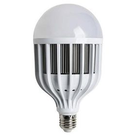 Cata CT-4242 Gün Işığı Led Ampul