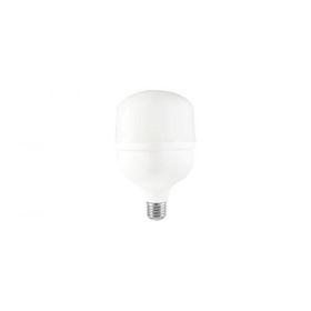 CATA CT 4263 30W LED AMPUL