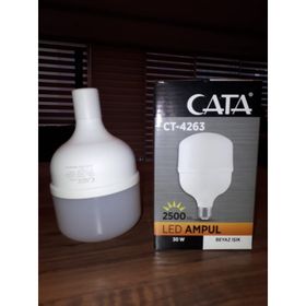CATA CT 4263 30W LED AMPUL