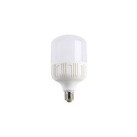 CATA CT 4263 30W LED AMPUL