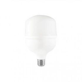 CATA CT 4263 30W LED AMPUL