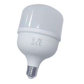 CATA CT 4263 30W LED AMPUL