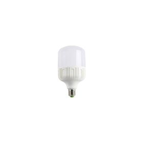 CATA CT 4263 30W LED AMPUL