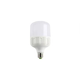Cata CT-4330B 25W 6400K E27 Duylu Beyaz Işık Led Ampul