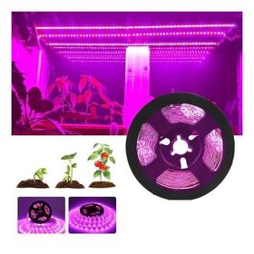 Cata CT-4470 10 Çip İç Mekan Pembe Şerit Led