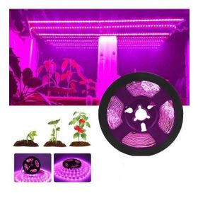 Cata CT-4470 10 Çip İç Mekan Pembe Şerit Led