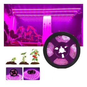 Cata CT-4470 10 Çip İç Mekan Pembe Şerit Led