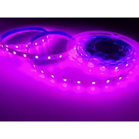 Cata CT-4470 10 Çip İç Mekan Pembe Şerit Led