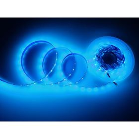 Cata CT-4471 10 Çip İç Mekan Turkuaz Şerit Led