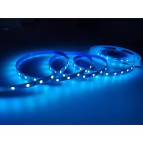 Cata CT-4471 10 Çip İç Mekan Turkuaz Şerit Led