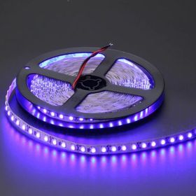 Cata CT-4484 10 Çipli Mavi Işık 5 m Led Şerit