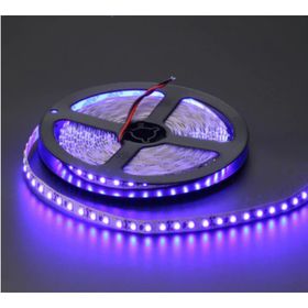 Cata CT-4484 10 Çipli Mavi Işık 5 m Led Şerit