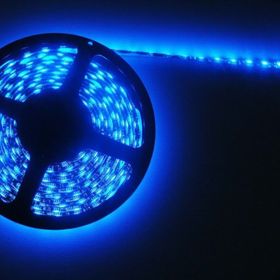 Cata CT-4491 10 Çipli Mavi Işık 5 m Led Şerit