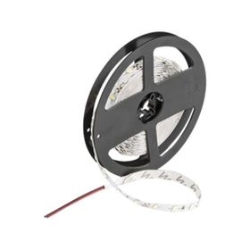 Cata CT-4491 10 Çipli Mavi Işık 5 m Led Şerit