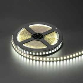 Cata CT-4538-B Gold 5630 Çip İç Mekan Şerit Led