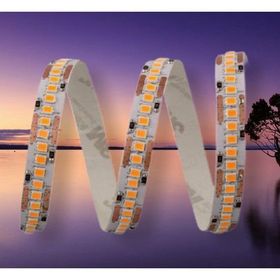 Cata CT-4538 Gold Amber İç Mekan 12 W 240 Çipli Yüksek Lumen Şerit Led