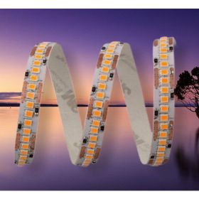 Cata CT-4538 Gold İç Mekan 12W 240 Çipli Şerit Günışığı Led Aydınlatma