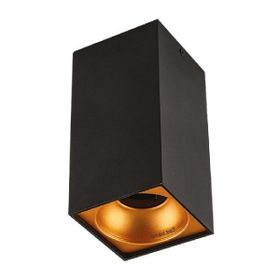 Cata CT-5417 Bergama Siyah Gold Kasa Sıva Üstü Spot