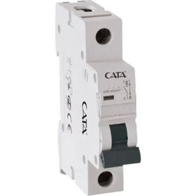 Cata CT-9181 2 Amper Otomat