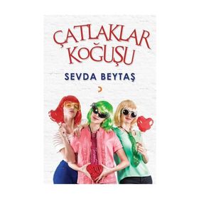 Çatlaklar Koğuşu - Sevda Beytaş